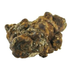 Hollandia Magic Truffles