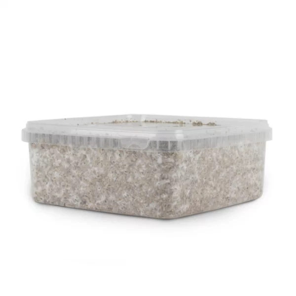 Buy Magic Mushroom Grow Kit PES Amazonian XL by Mondo online - Image 2