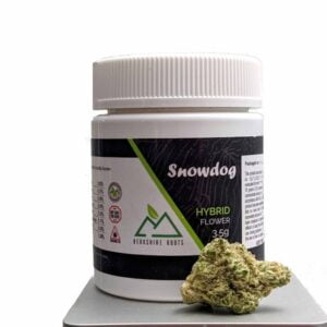 Buy Berkshire Roots | SnowDog | Flower (H) Online