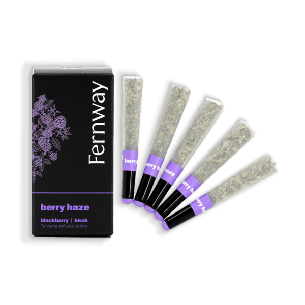 Buy Berry Haze Terpene Infused Pre-Roll 5-pack | 2.5g Online