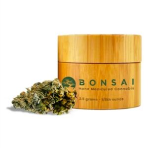 Bonsai | Bubble Yum | Flower (H)
