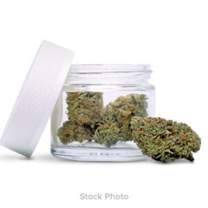 Buy Cookies | Blue Agave | Flower (H) Online