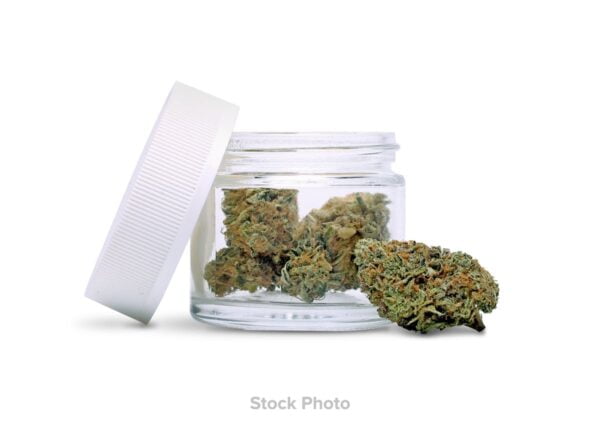 Buy Cookies | Blue Agave | Flower (H) Online