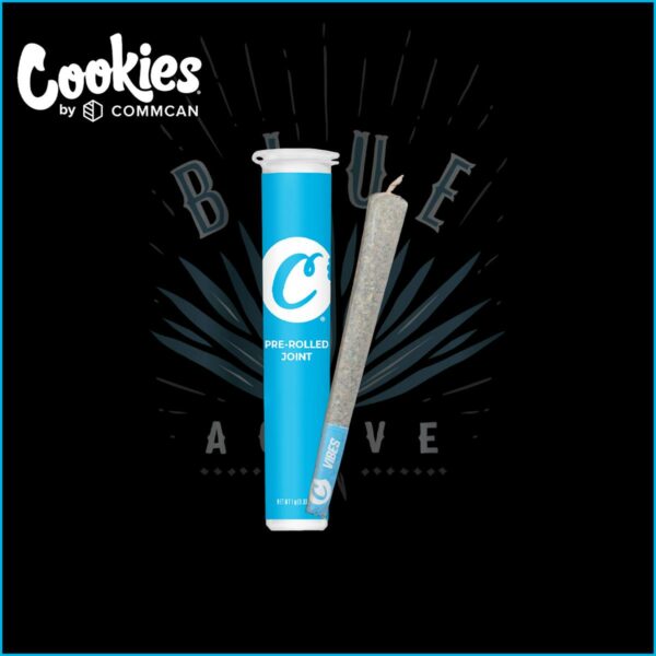 Buy Cookies | Blue Agave | Preroll (H) Online