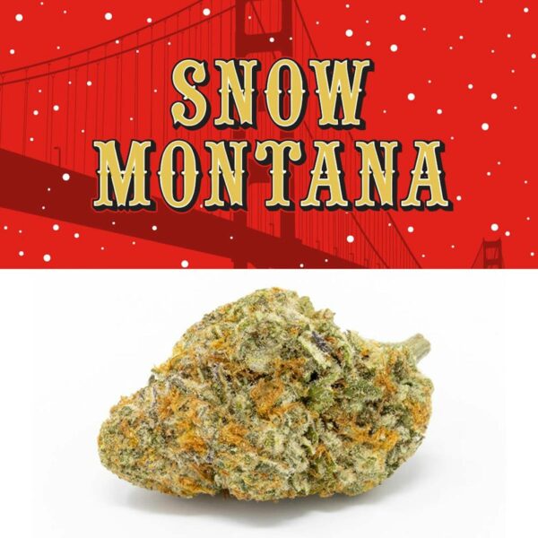 Buy Cookies | Snow Montana | Flower (IH) Online