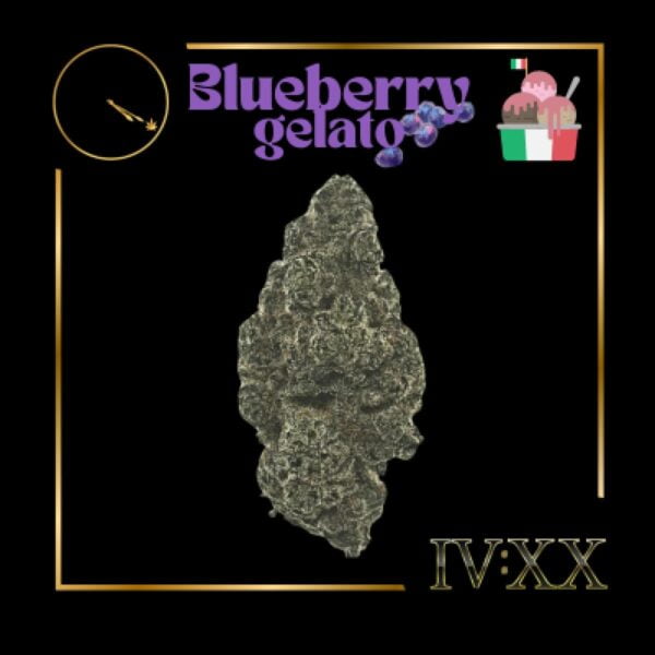 Buy Four20 | Blueberry Gelato | Flower Online