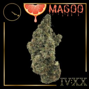 Buy Four20 | Grapefruit Magoo | Flower Online