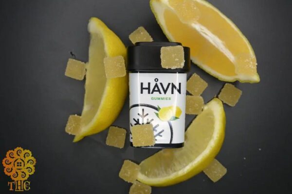 Buy HAVN | Lemon 1.1 | Gummies | 100mg Online