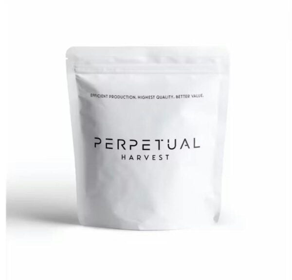 Buy Perpetual | Cereal Milk | Flower (H) Online