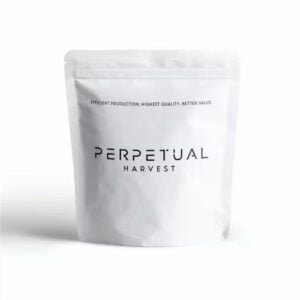 Perpetual | Soap | Flower