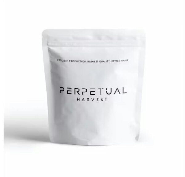 Perpetual | Soap | Flower