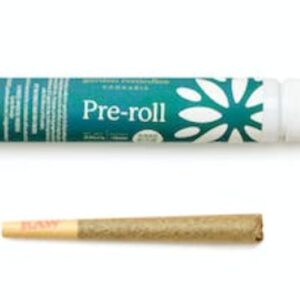 Buy Realm | Governmint Oasis | Pre Roll (I) Online