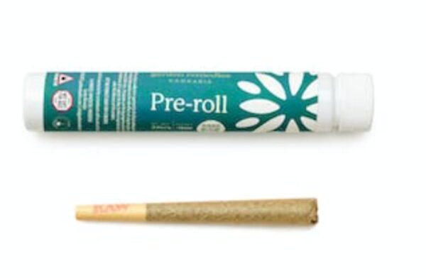 Buy Realm | Governmint Oasis | Pre Roll (I) Online