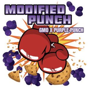 Buy TW | Modified Punch | Live Rosin Concentrate Online